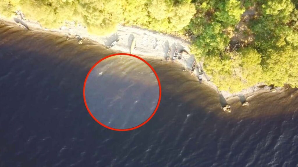 Nessie existe: Un dron graba por primera vez en la historia al monstruo del lago Ness