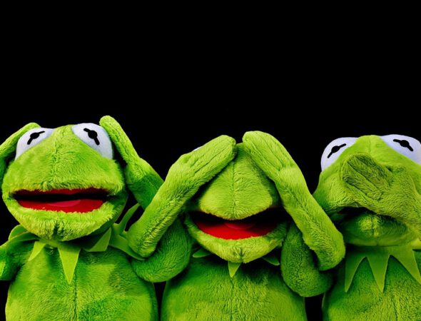 kermit-2687975_960_720