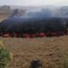 Graban el sonido que emite la lava del volcán de La Palma y es similar a vidrio roto