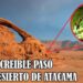 Algo increíble pasó en el desierto de Atacama