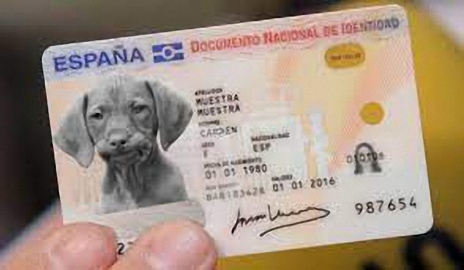 A Partir del próximo año tu mascota deberá tener un DNI