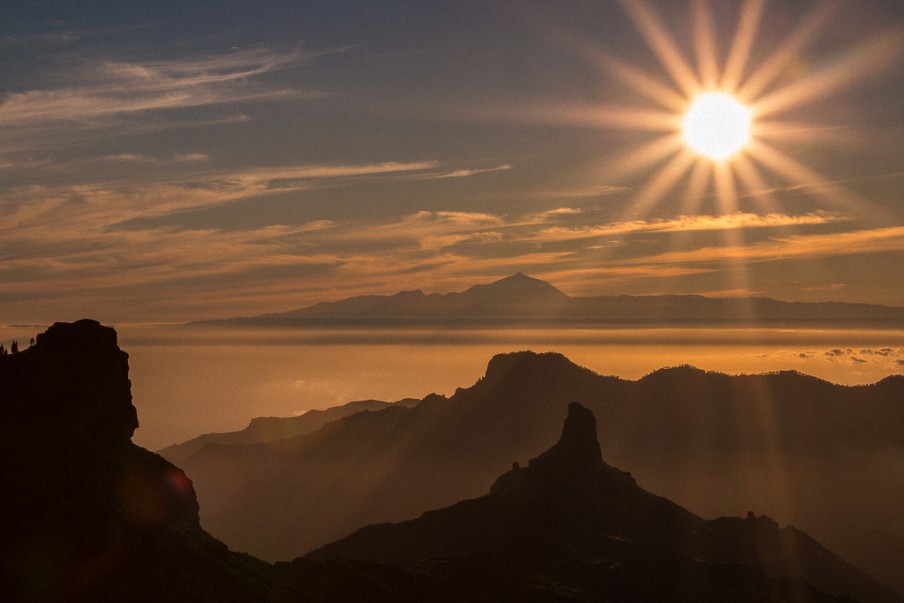 La vitamina D es la vacuna que tu organismo necesita