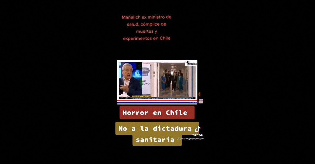 Ex Ministro afirma que Chile se prestó como experimento