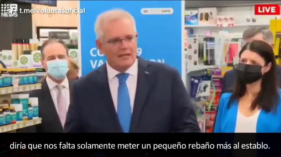 Primer ministro de Australia, Scott Morrison, sobre vacunados: «Solo falta un rebaño más de ovejas por meter al corral»