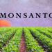 Monsanto – El negocio de la muerte