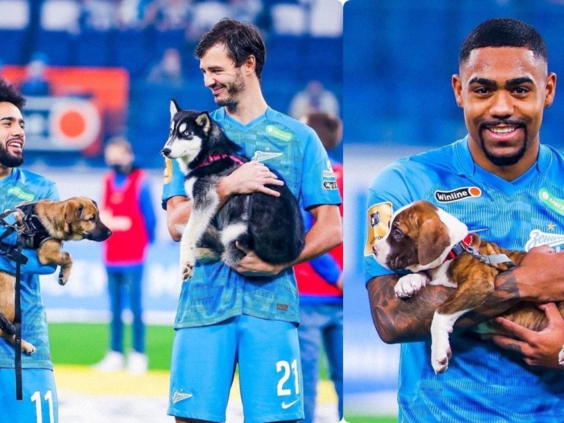 El Zenit ruso entra al campo de juego con cachorros para incentivar la adopción de perros y su gesto se hace viral