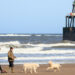 Una extraña enfermedad en cientos de perros que visitaron playas causa alarma en el Reino Unido