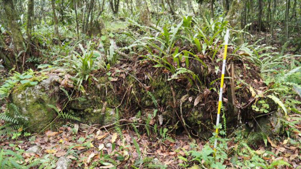 Encuentran una compleja red de canales de piedra previamente desconocida en la antigua ruta hacia Machu Picchu