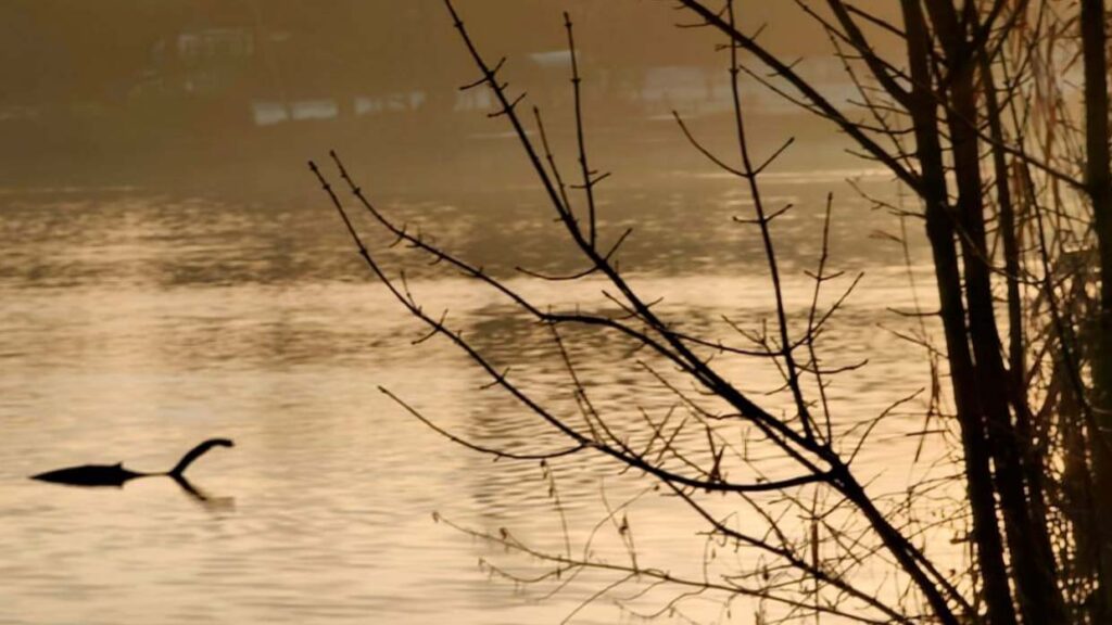 Un hombre fotografía a ‘Nessie’ en un lago de Inglaterra