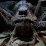 La posible existencia de la araña gigante congoleña