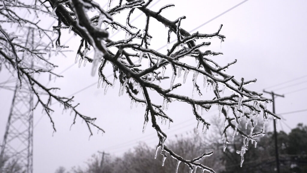 «Suenan como disparos»: estallan árboles en Texas en medio de una tormental invernal