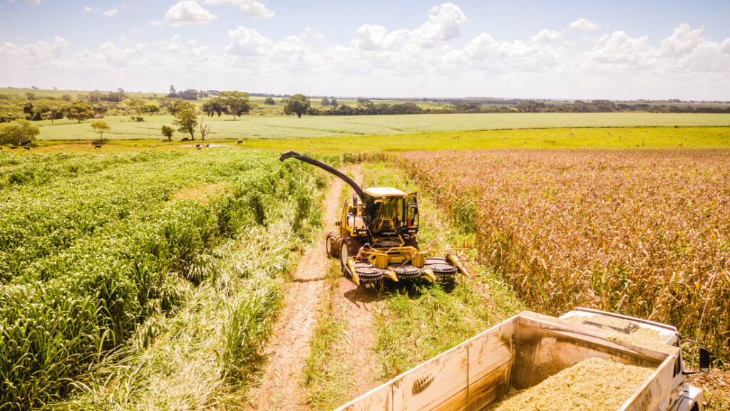 Las claves para entender la polémica en torno al proyecto de ley que altera la regulación de agrotóxicos en Brasil