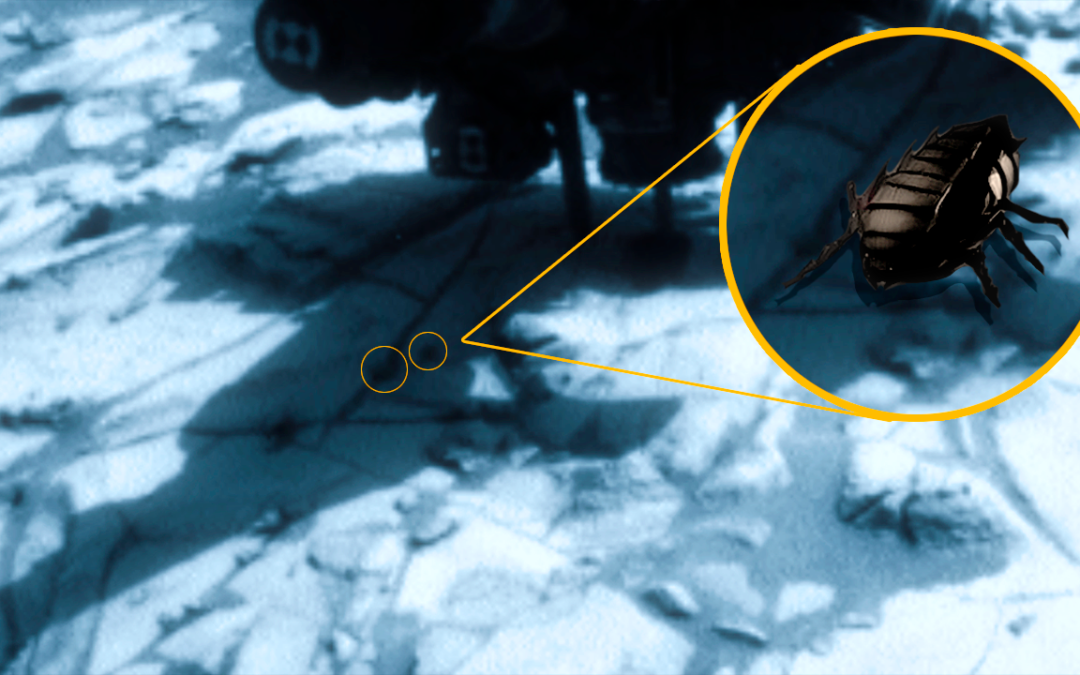 «Algo se mueve en Marte»: Profesor asegura haber encontrado seres vivos