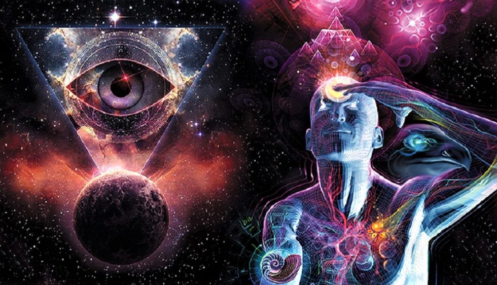 La Glándula Pineal y sus misterios: ¿La verdadera sabiduría avanzada?