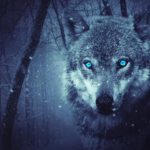 Fenrir – El lobo gigante de la mitología nórdica