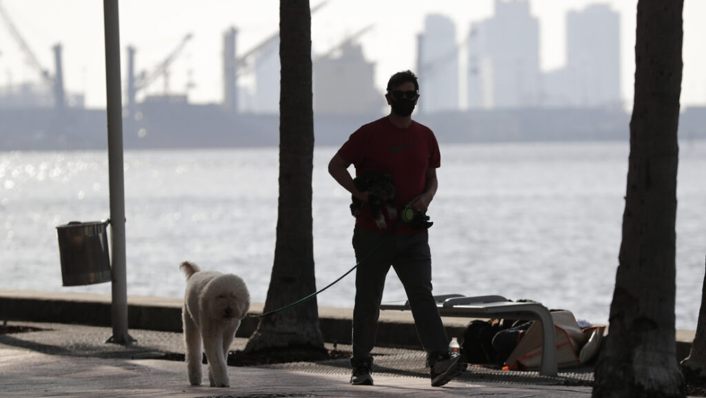 Alertan sobre un virus «altamente contagioso» que afecta a los perros en el sur de Florida