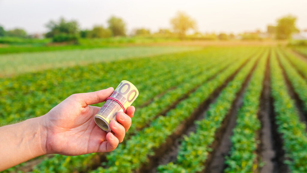 Los agricultores alemanes advierten de una subida de precios en los alimentos «sin precedentes» en el marco de la crisis ucraniana