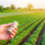 Los agricultores alemanes advierten de una subida de precios en los alimentos «sin precedentes» en el marco de la crisis ucraniana