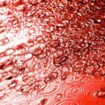 Lluvia de Células Rojas en la India