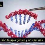 Dr. Sam Bailey – Diseminación, vacunas y grafeno