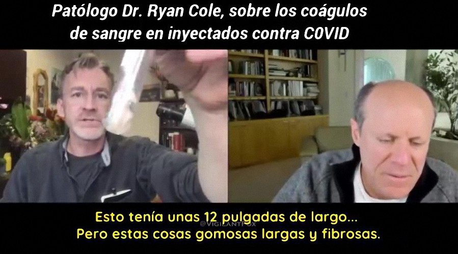 El Dr. Ryan Cole muestra coágulos de sangre en personas fallecidas inyectadas contra el covid