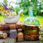 Remedios naturales: Las 100 mejores hierbas, frutas y verduras medicinales para cultivar