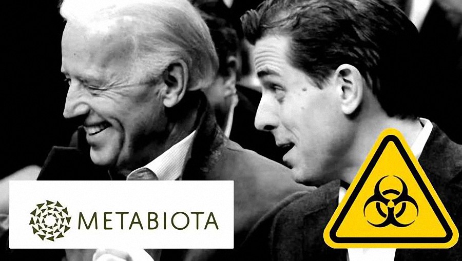 Revelan que Hunter Biden ayudó a obtener millones para la investigación de patógenos mortales en Ucrania