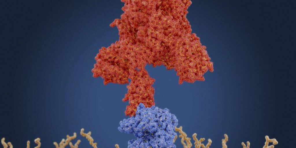 La proteína Spike en las vacunas Covid de ARNm: una de las sustancias más bioactivas y dañinas que ha conocido la humanidad