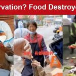 La destrucción de alimentos comienza en Shanghai