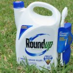 El biólogo que expuso los peligros del Roundup dice que “intentaron matarme”