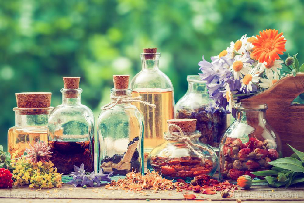 El poder de la medicina natural y la homeopatía es real