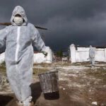 China detecta el primer contagio humano de la cepa H3N8 de la gripe aviar