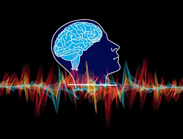 brain-pixa