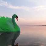Llega el Cisne Verde, el nuevo batacazo mundial, lo advierte el exgobernador del Banco de México Agustín Carstens