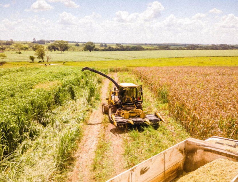 El principal agricultor de Brasil reducirá el uso de fertilizantes en un 25 % en medio de la escasez