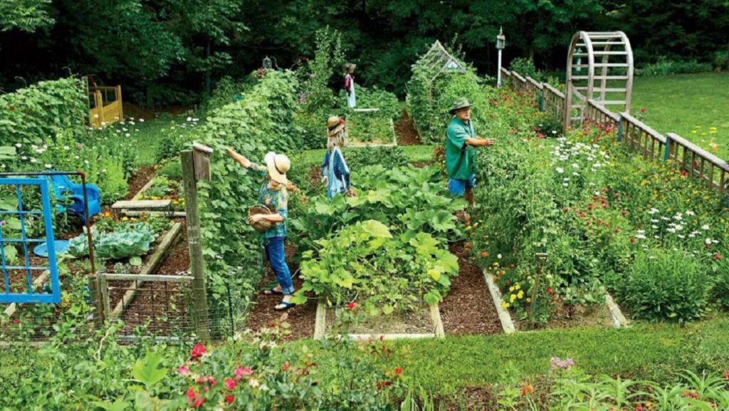 Las autoridades australianas han aprobado una ley que prohíbe el cultivo de sus propios alimentos y grandes multas para los infractores