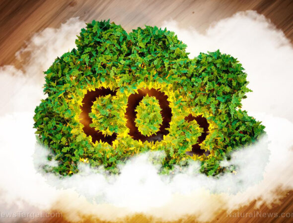 Co2-Greenhouse-Gas-Global-Warming
