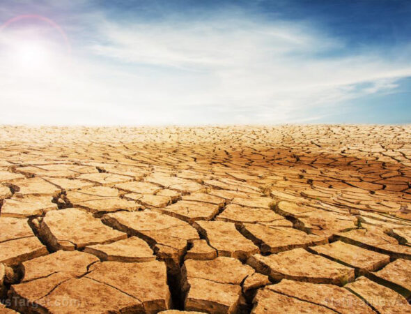 Dry-Land-Drought-Desert-Ground-Wasteland-Mud