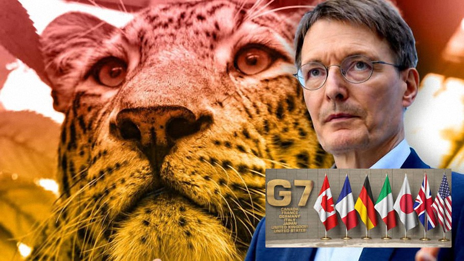 El G7 realiza una simulación de “Pandemia de Viruela de leopardo”: los ministros de salud se reúnen “contra la próxima crisis”