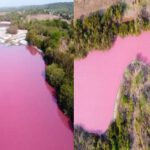 Extraña coloración rosa en una laguna en Oaxaca (México)