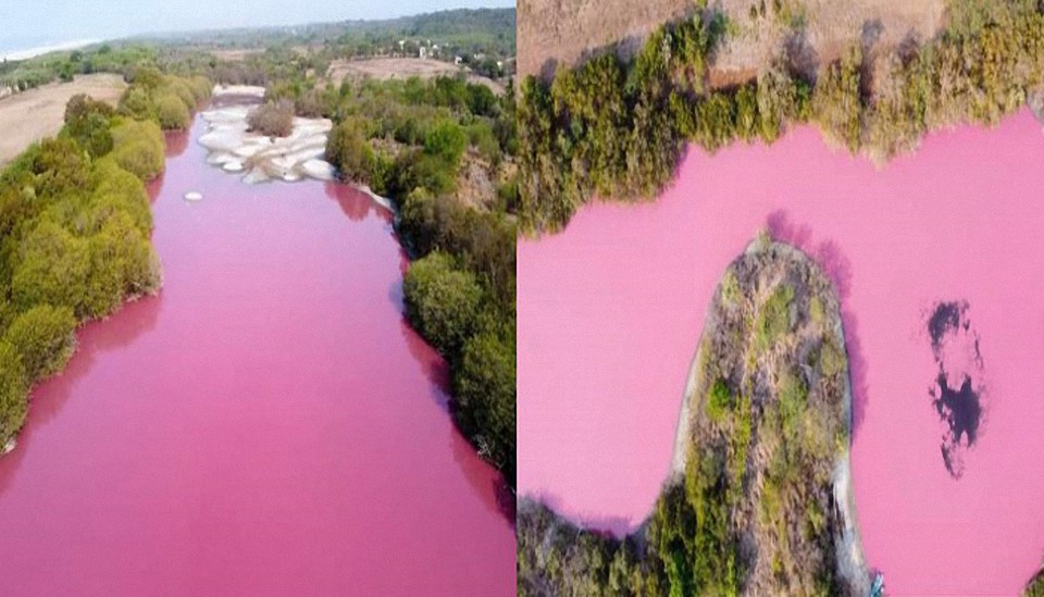 Extraña coloración rosa en una laguna en Oaxaca (México)