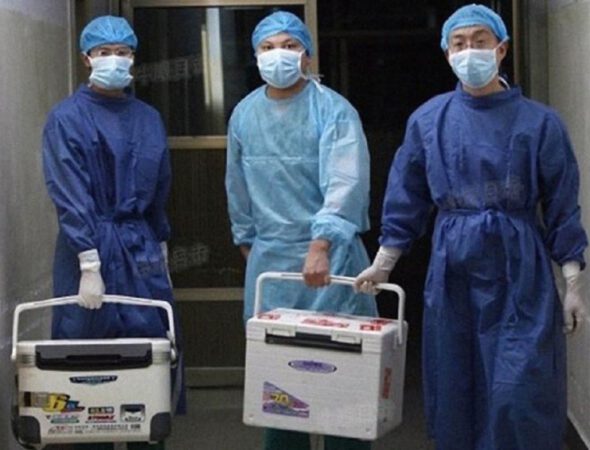 Médicos-con-órganos-sustraidos-en-China