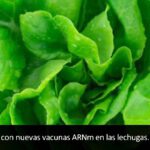 Las grandes farmacéuticas van a controlar todo el suministro de alimentos