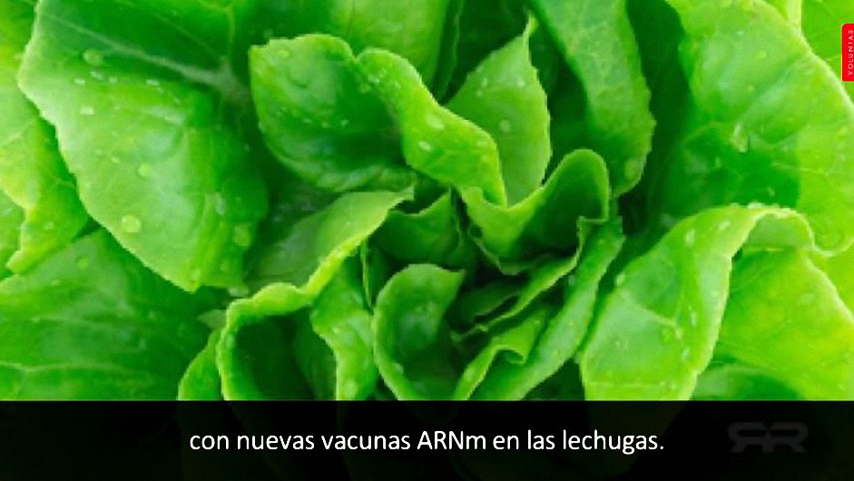 Las grandes farmacéuticas van a controlar todo el suministro de alimentos