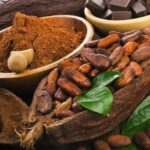 Los beneficios de consumir cacao puro