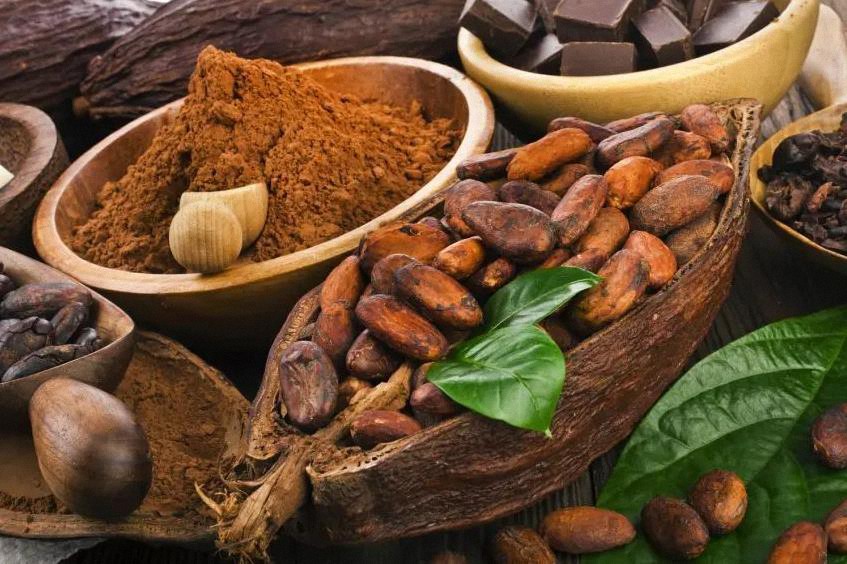 Los beneficios de consumir cacao puro