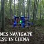 Enjambre de drones chinos autónomos vuela a través del bosque mientras busca humanos