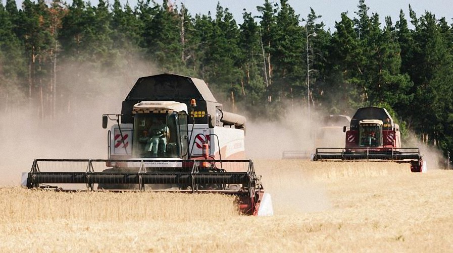 Cepa de grano de Ucrania: casi 25 millones de toneladas bloqueadas de la exportación