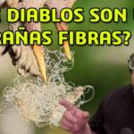 ¿Qué Diablos son estas Extrañas Fibras?