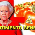 La Reina Isabel II y su obsesión ritualista por los alimentos transgénicos